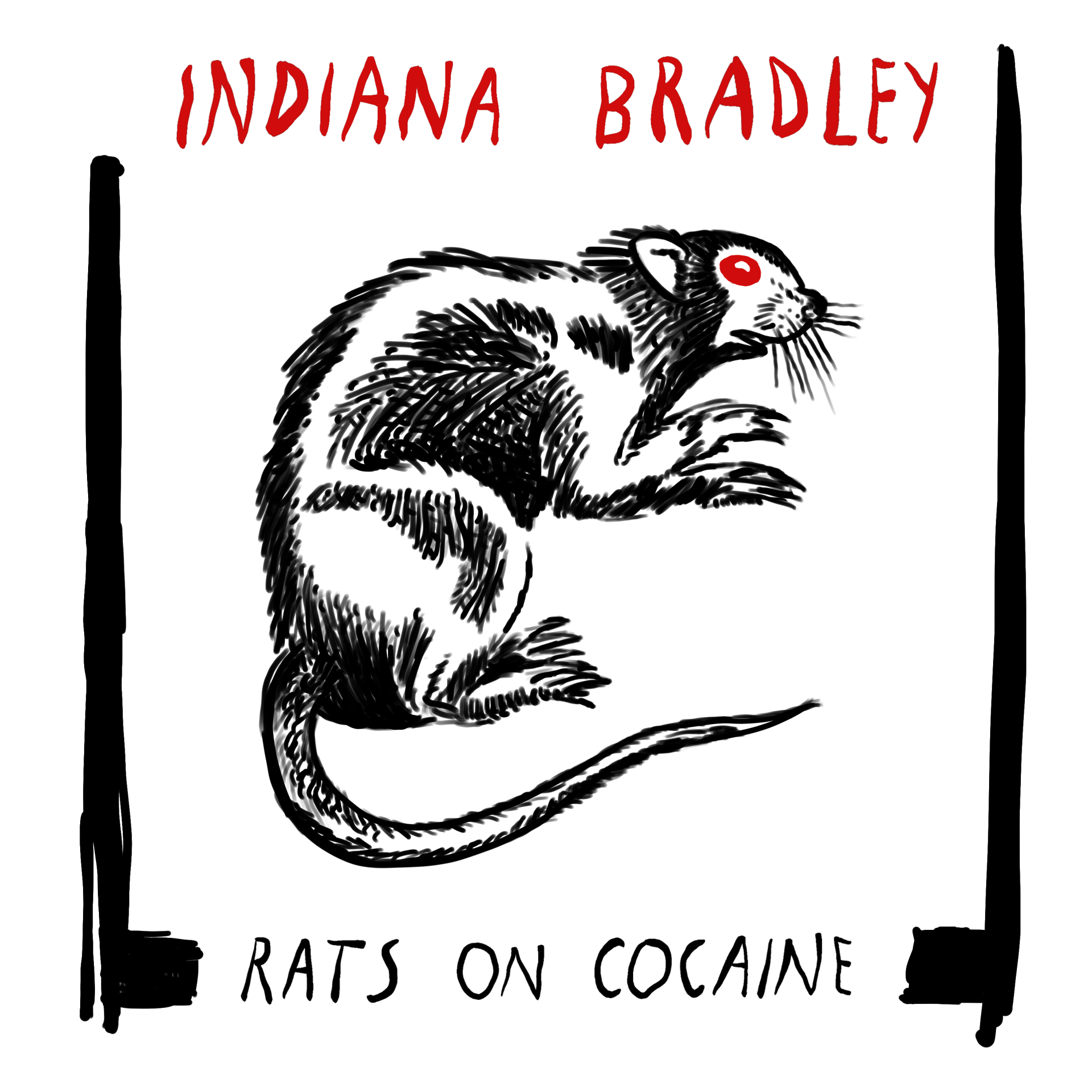 la-post-punk-artist-indiana-bradley-explores-the-perils-of-party