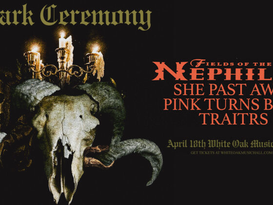 The Fall have released a massive 7-disc singles box set spanning