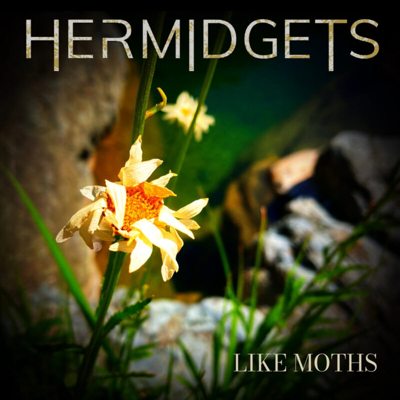 Hermidgets — Like Moths single artwork