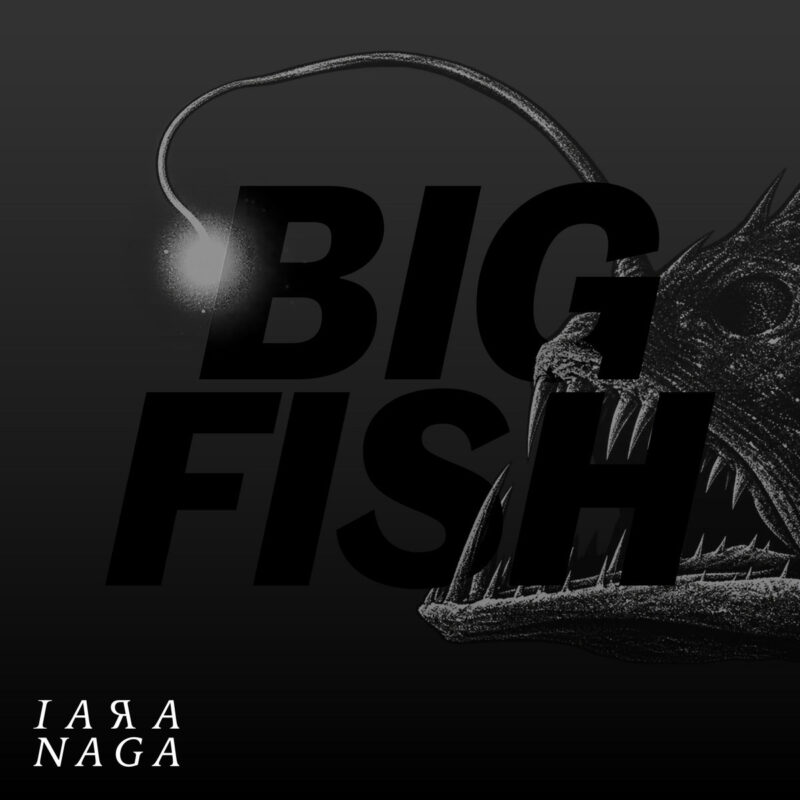 IARA NAGA — Big Fish single artwork